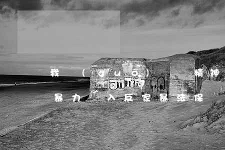 我國(guó)擬將精神侵害、同居暴力納入反家暴法保護(hù)范圍